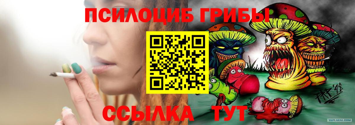 Галлюциногенные грибы Cubensis Норильск