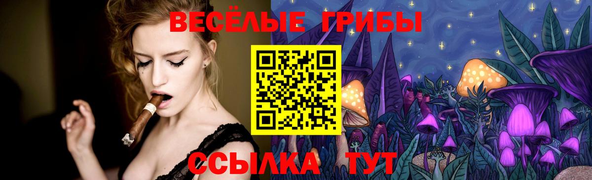 Норильск  Галлюциногенные грибы мухоморы  Вход с VPN 